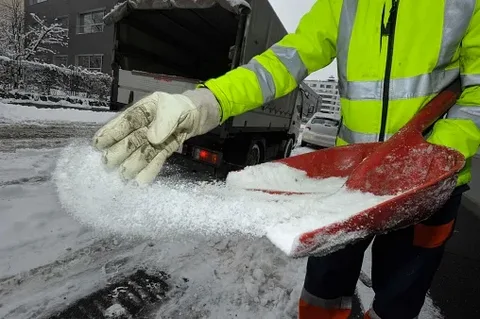 Expert Salting Services in Ammon ID – Who Is Open Now?