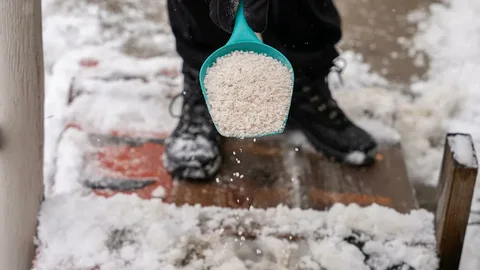 Expert Salting Services in Iona, ID – Who Can Respond Quickly?